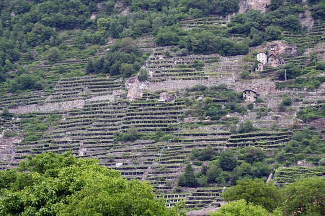 Donnas. Cte des vignobles.