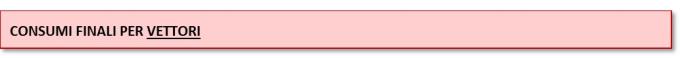 Consumi finali per vettori