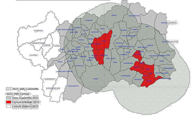 Mappa dell'area delimitata ad inizio 2023 (due zone infestate e una zona cuscinetto)