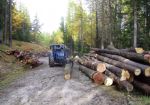accatastamento legname Gignod