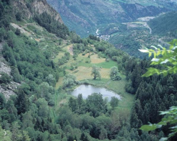 Laghi E Zone Umide